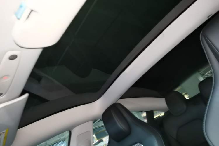 Used Tesla Model 3 2024 High-Performance All-Wheel-Drive Version Headliner