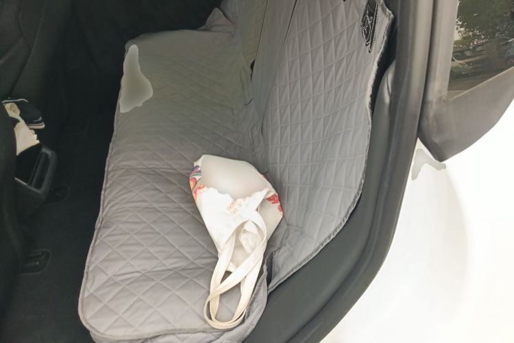 Used Tesla Model 3 2024 High-Performance All-Wheel-Drive Version Left Rear Seat