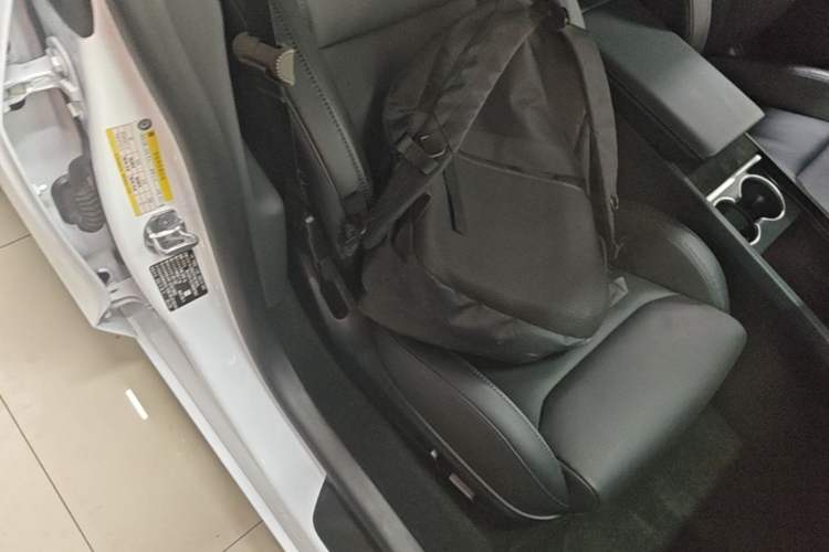 Used Tesla Model 3 2024 High-Performance All-Wheel-Drive Version Right Front Seat