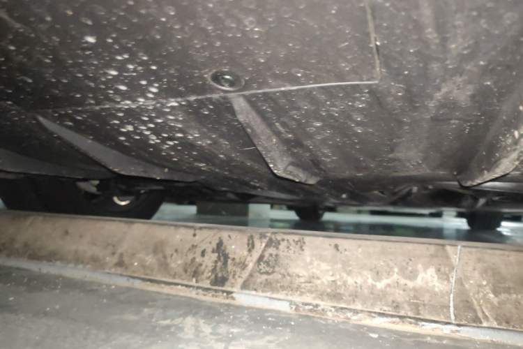 Used Tesla Model 3 2025 Rear-Wheel-Drive Version Chassis Rear
