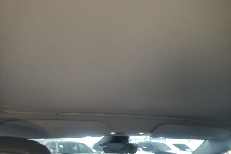 Used Tesla Model 3 2025 Rear-Wheel-Drive Version Headliner