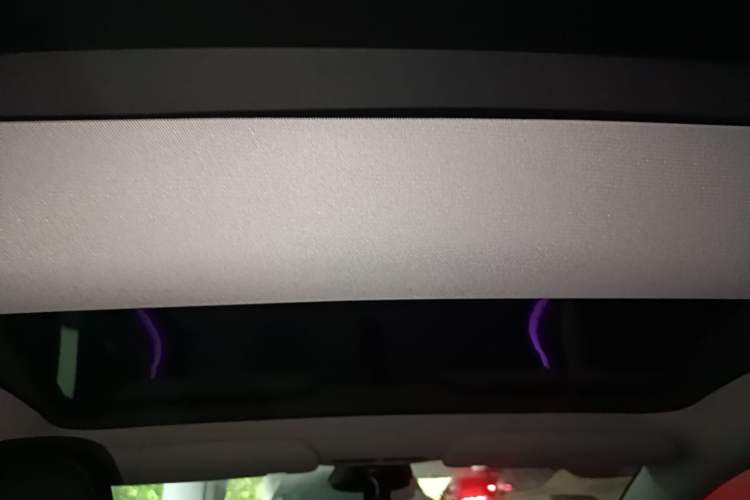 Used Tesla Model 3 2025 Model Revised Rear-Wheel-Drive Version Headliner