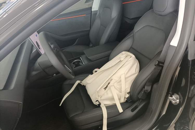 Used Tesla Model 3 2025 Long-Range All-Wheel-Drive Version Left Front Seat