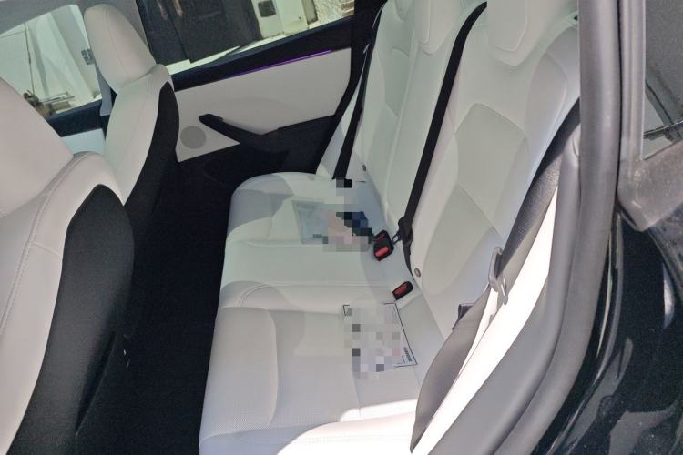 Used Tesla Model 3 2025 Model Revised Long-Range All-Wheel-Drive Version Left Rear Seat