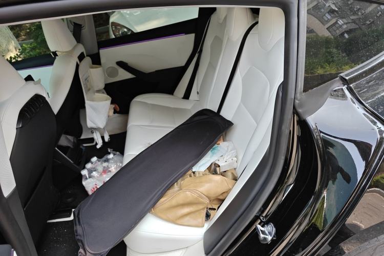 Used Tesla Model 3 2025 Long-Range All-Wheel-Drive Version Left Rear Seat
