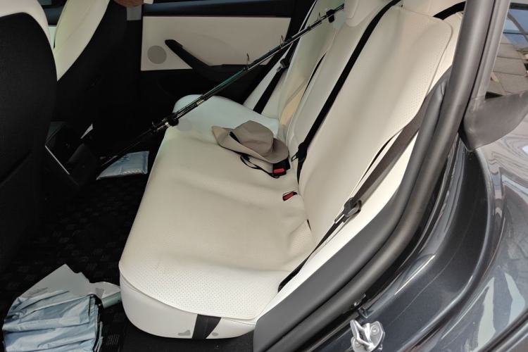 Used Tesla Model 3 2025 Model Revised Rear-Wheel-Drive Version Left Rear Seat