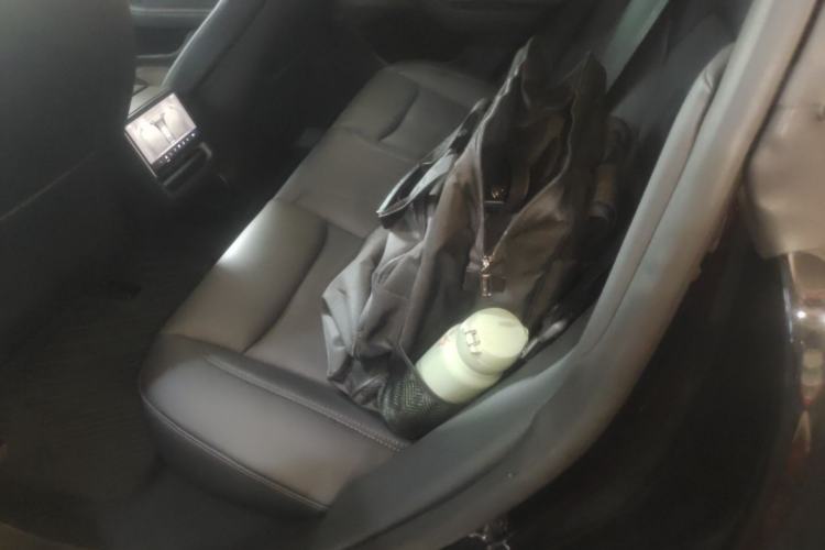 Used Tesla Model 3 2025 Model Revised Rear-Wheel-Drive Version Left Rear Seat