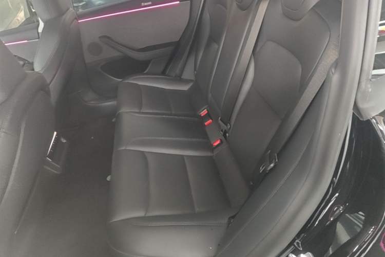 Used Tesla Model 3 2025 Model Revised Rear-Wheel-Drive Version Left Rear Seat