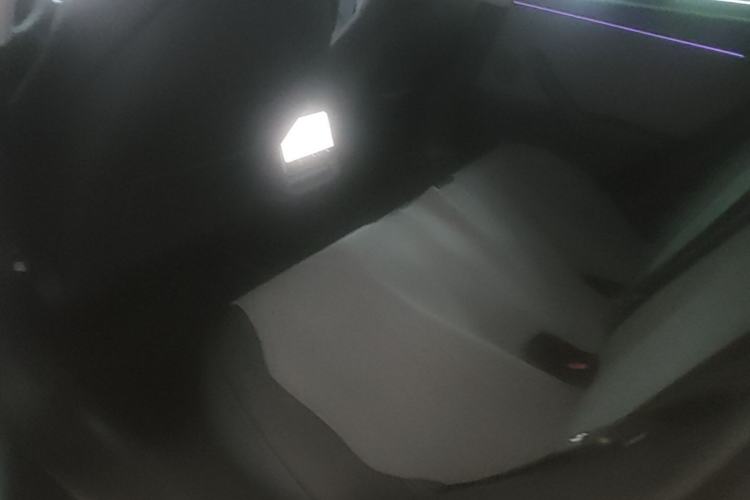 Used Tesla Model 3 2025 Rear-Wheel-Drive Version Left Rear Seat