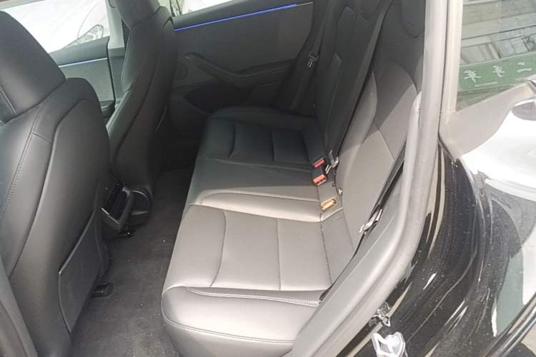 Used Tesla Model 3 2025 Rear-Wheel-Drive Version Left Rear Seat