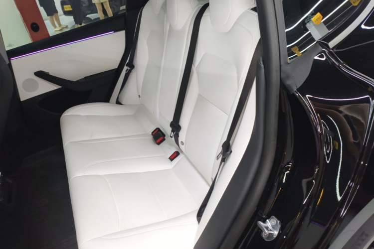 Used Tesla Model 3 2025 Model Revised High-Performance All-Wheel-Drive Version Left Rear Seat