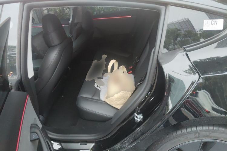 Used Tesla Model 3 2025 Model Revised Rear-Wheel-Drive Version Left Rear Seat