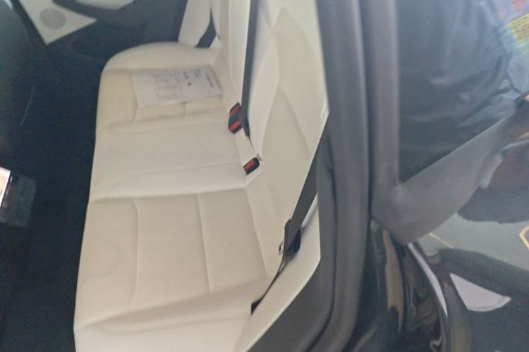Used Tesla Model 3 2025 Rear-Wheel-Drive Version Left Rear Seat