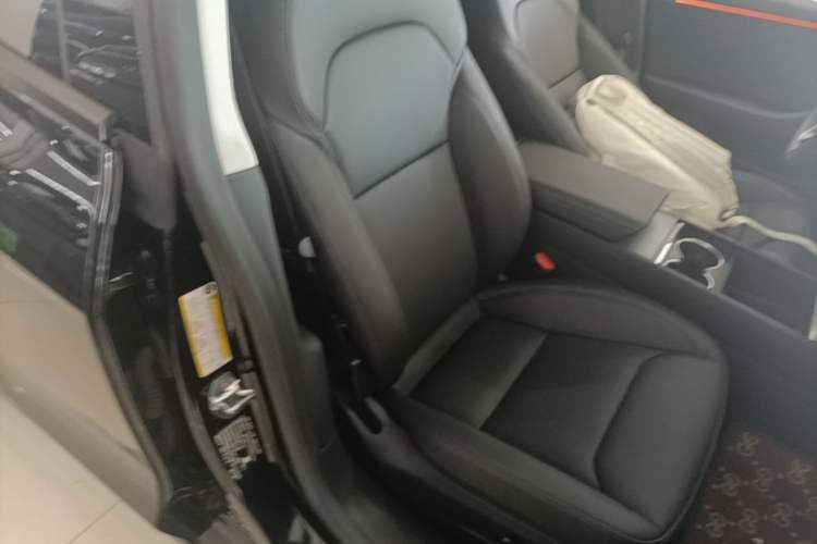 Used Tesla Model 3 2025 Long-Range All-Wheel-Drive Version Right Front Seat