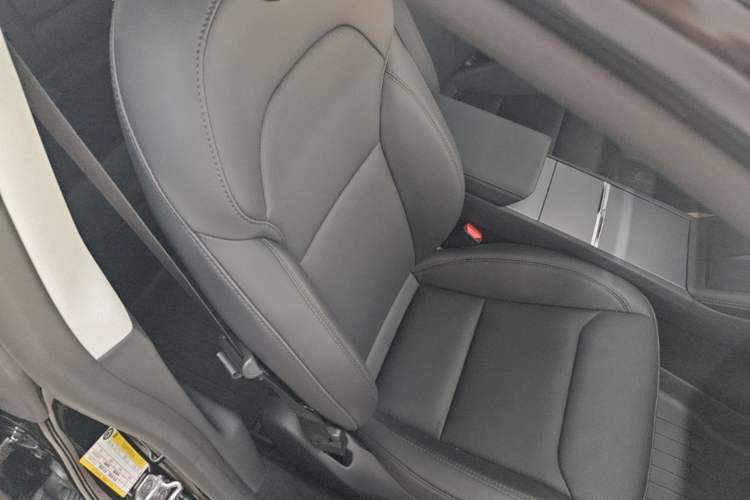 Used Tesla Model 3 2025 Rear-Wheel-Drive Version Right Front Seat