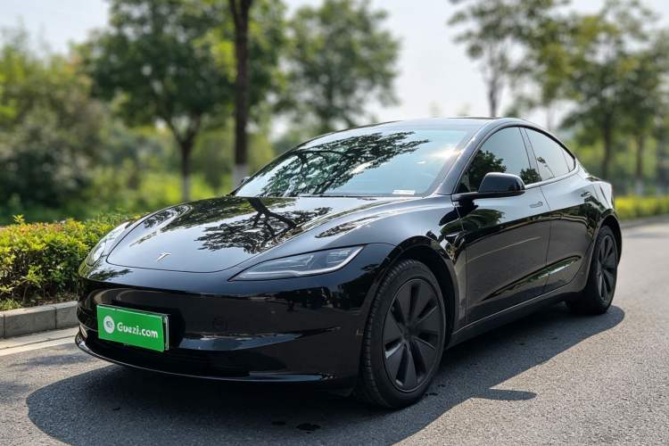 Tesla Model 3 2025 Rear-Wheel-Drive Version