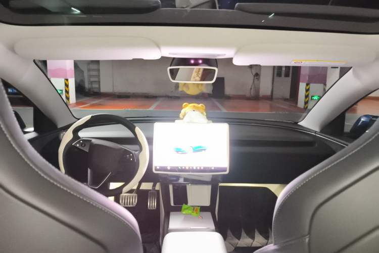 Used Tesla Model 3 2025 Model High-Performance All-Wheel-Drive Version Headliner