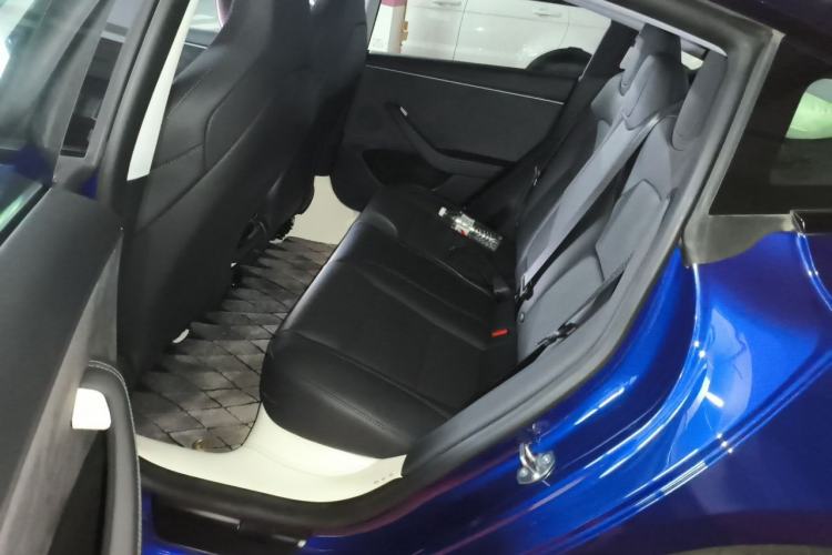 Used Tesla Model 3 2025 Model High-Performance All-Wheel-Drive Version Left Rear Seat