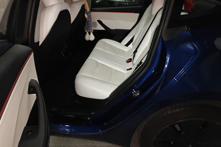 Used Tesla Model 3 2025 Long-Range All-Wheel-Drive Version Left Rear Seat