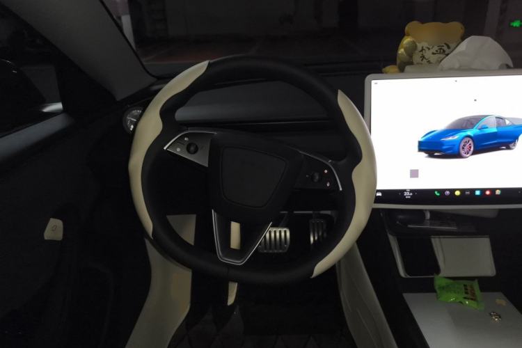 Used Tesla Model 3 2025 Model High-Performance All-Wheel-Drive Version Steering Wheel