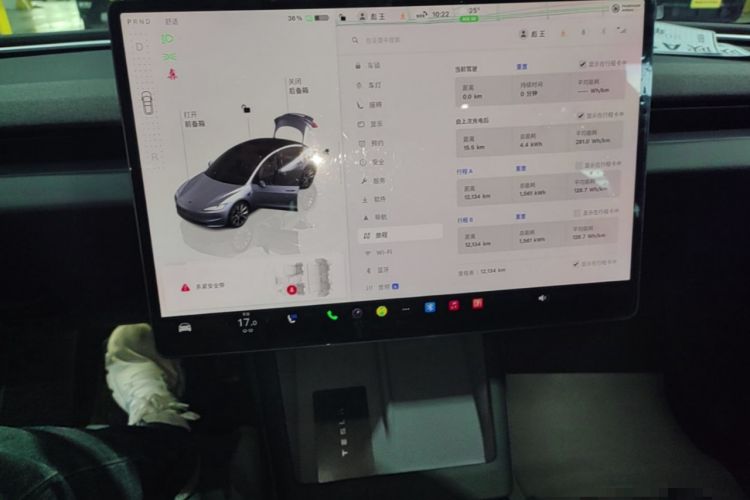 Used Tesla Model 3 2025 Rear-Wheel-Drive Version Audio And AC Panel