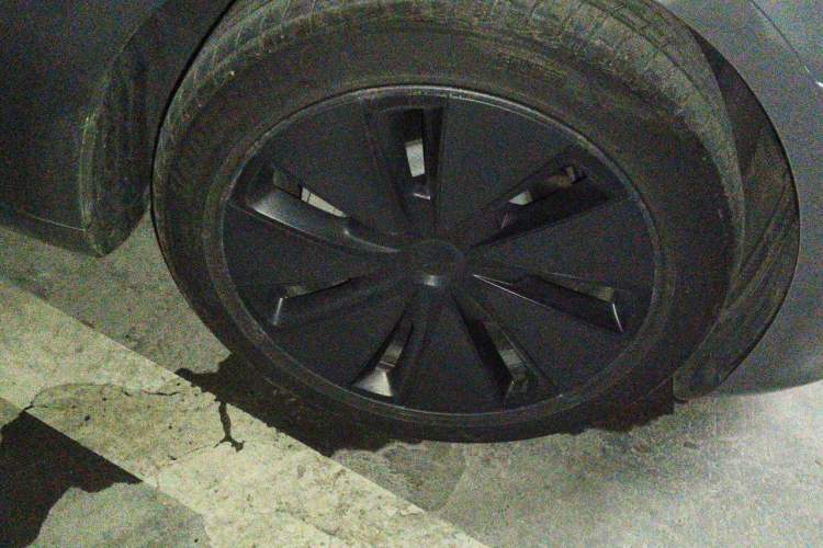 Used Tesla Model 3 2025 Rear-Wheel-Drive Version Exterior 1
