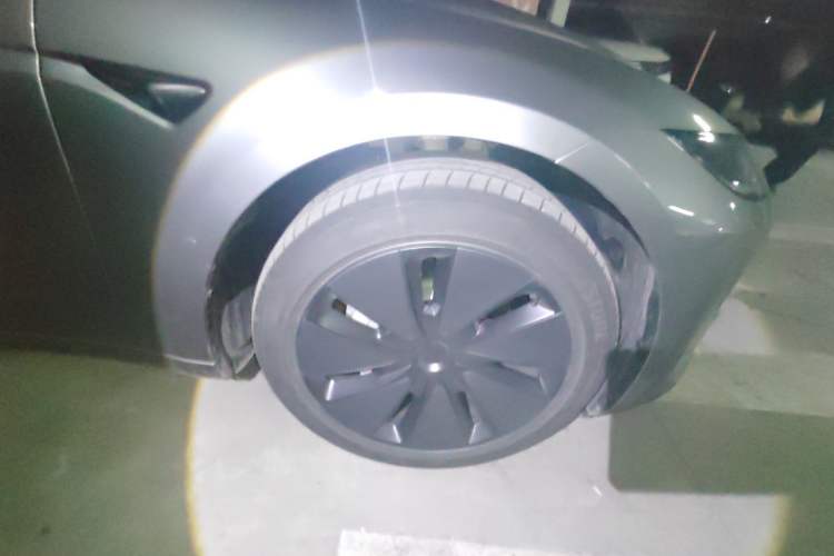 Used Tesla Model 3 2025 Model Revised Rear-Wheel-Drive Version Exterior 1