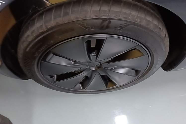 Used Tesla Model 3 2025 Rear-Wheel-Drive Version Exterior 4