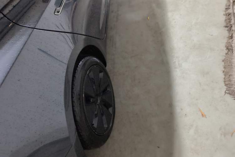Used Tesla Model 3 2025 Rear-Wheel-Drive Version Exterior 5