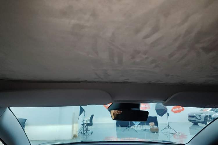 Used Tesla Model 3 2025 Rear-Wheel-Drive Version Headliner