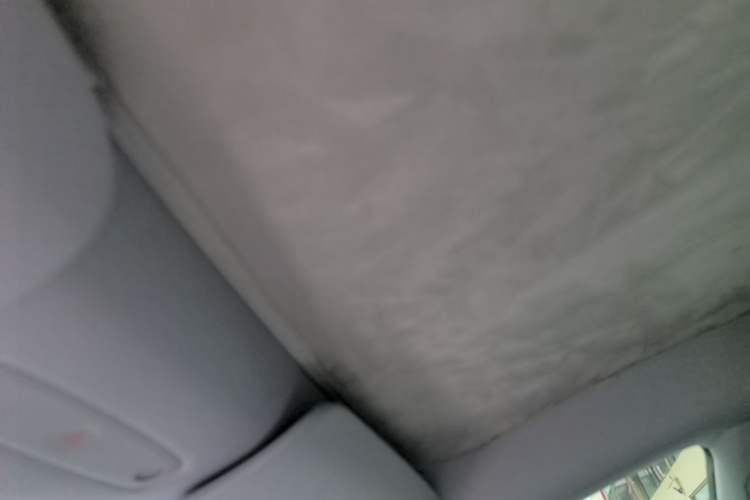 Used Tesla Model 3 2025 Rear-Wheel-Drive Version Headliner