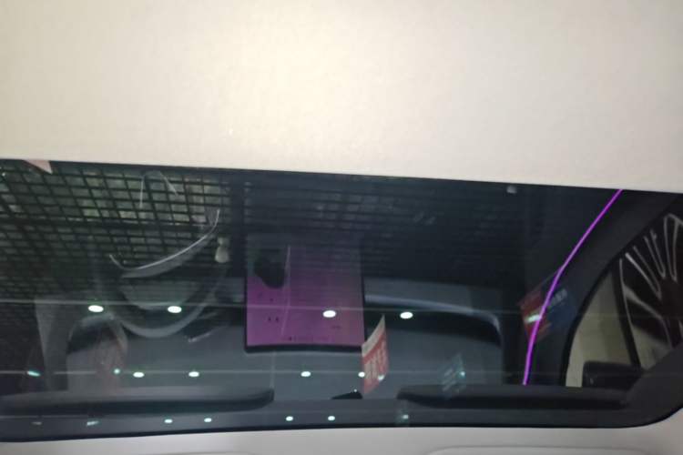 Used Tesla Model 3 2025 Rear-Wheel-Drive Version Headliner