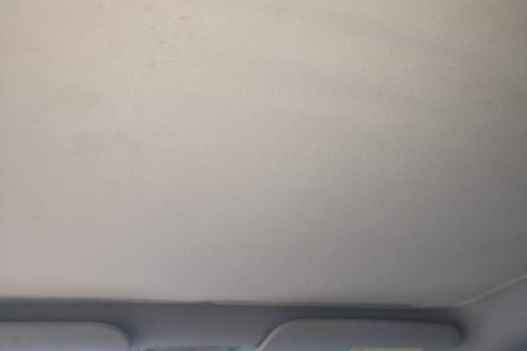 Used Tesla Model 3 2025 Long-Range All-Wheel-Drive Version Headliner