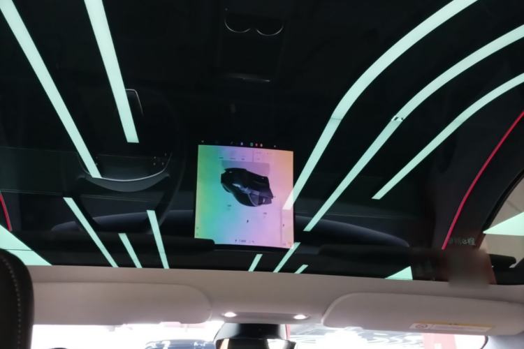 Used Tesla Model 3 2025 Rear-Wheel-Drive Version Headliner