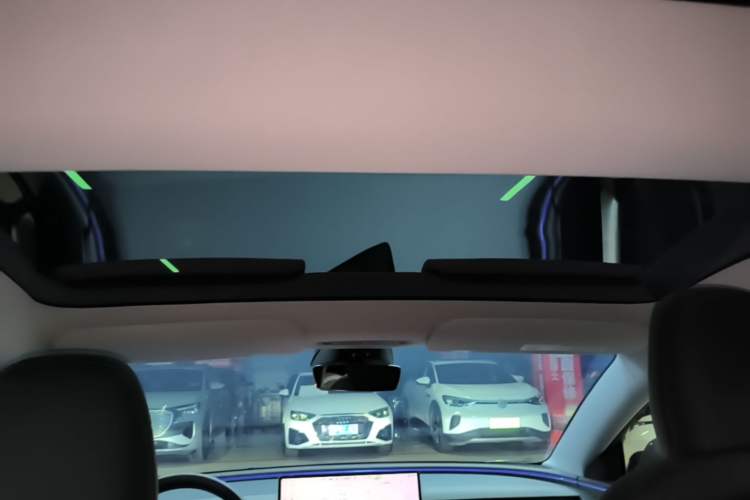 Used Tesla Model 3 2025 Rear-Wheel-Drive Version Headliner
