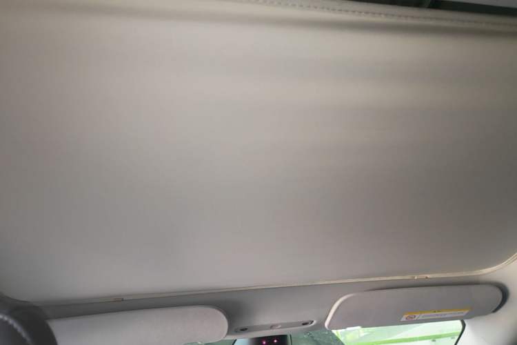 Used Tesla Model 3 2025 Rear-Wheel-Drive Version Headliner