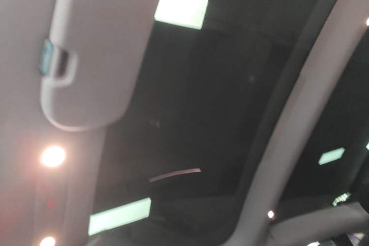 Used Tesla Model 3 2025 Rear-Wheel-Drive Version Headliner