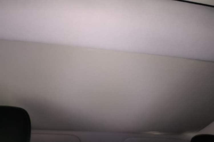 Used Tesla Model 3 2025 Rear-Wheel-Drive Version Headliner