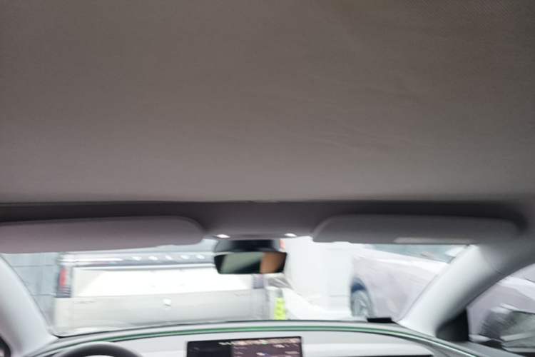 Used Tesla Model 3 2025 Rear-Wheel-Drive Version Headliner