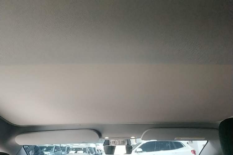 Used Tesla Model 3 2025 Rear-Wheel-Drive Version Headliner