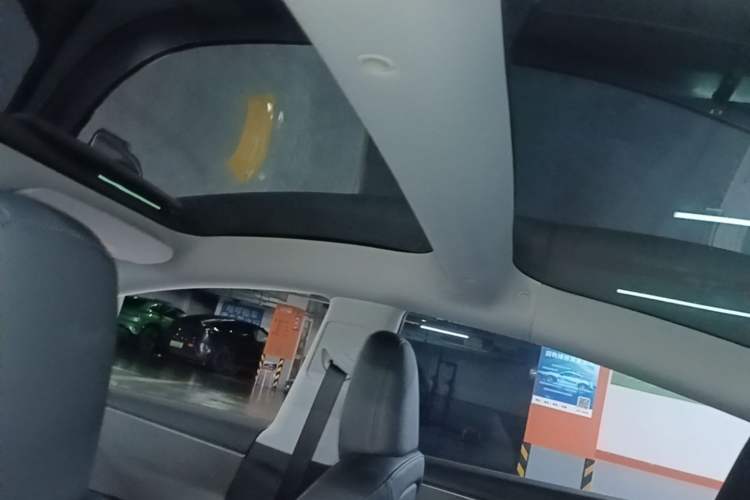 Used Tesla Model 3 2025 Rear-Wheel-Drive Version Headliner