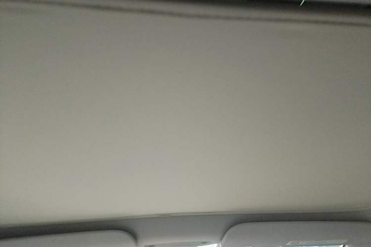 Used Tesla Model 3 2025 Rear-Wheel-Drive Version Headliner