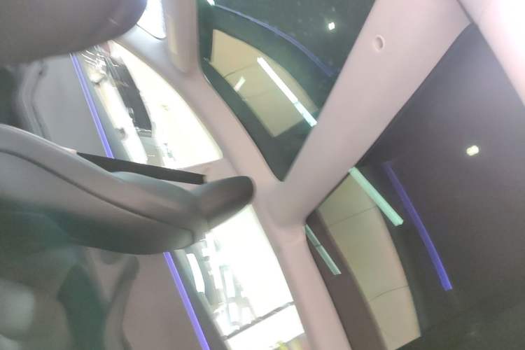 Used Tesla Model 3 2025 Rear-Wheel-Drive Version Headliner