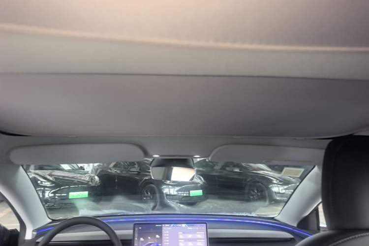Used Tesla Model 3 2025 Rear-Wheel-Drive Version Headliner