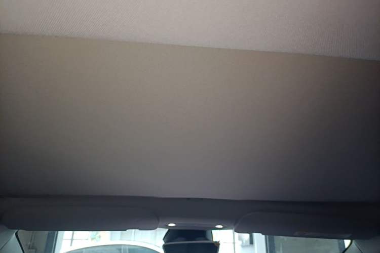 Used Tesla Model 3 2025 Rear-Wheel-Drive Version Headliner