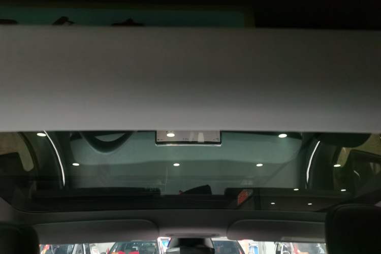 Used Tesla Model 3 2025 Rear-Wheel-Drive Version Headliner