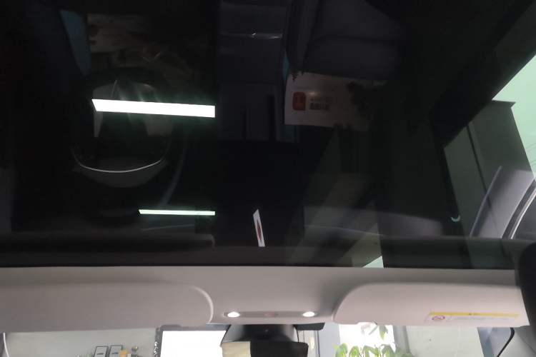 Used Tesla Model 3 2025 Rear-Wheel-Drive Version Headliner