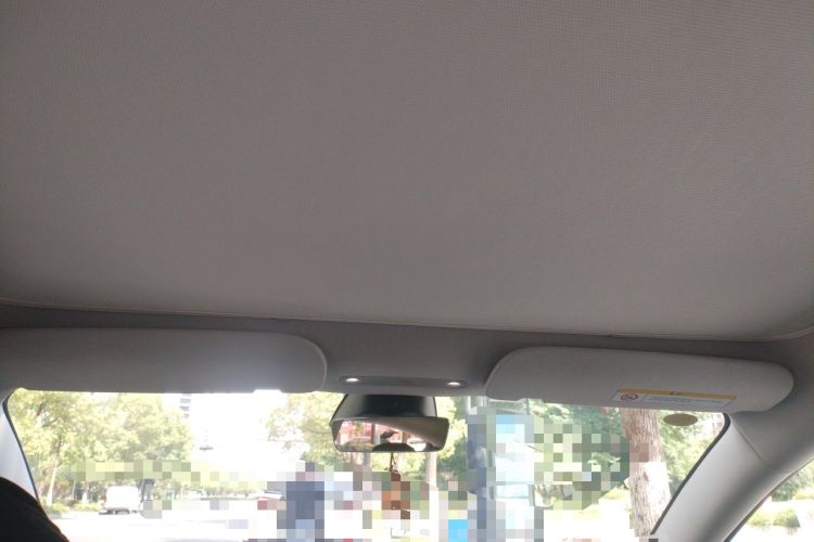 Used Tesla Model 3 2025 Rear-Wheel-Drive Version Headliner