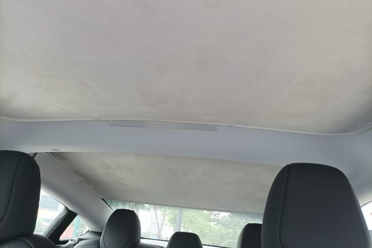 Used Tesla Model 3 2025 Rear-Wheel-Drive Version Headliner