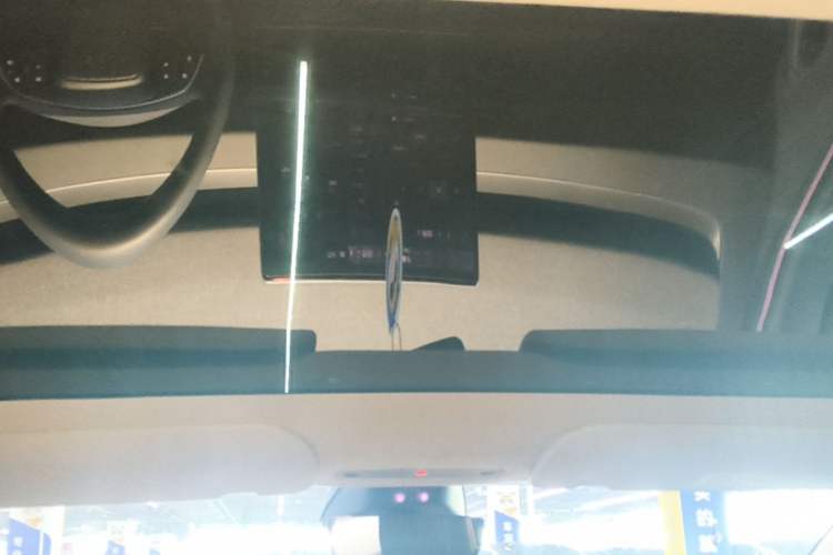 Used Tesla Model 3 2025 Rear-Wheel-Drive Version Headliner